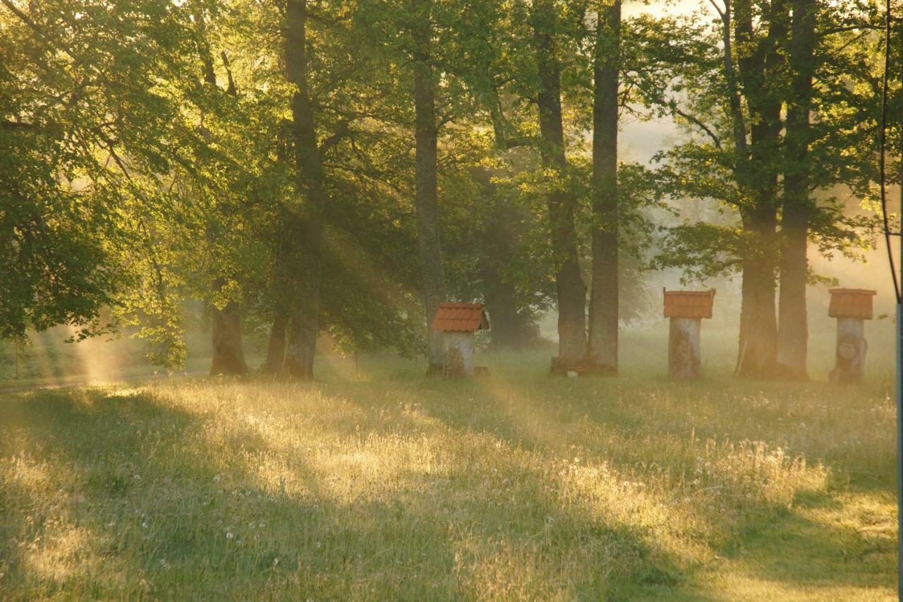 Bear Manor Lacu Muizina Pale ภายนอก รูปภาพ